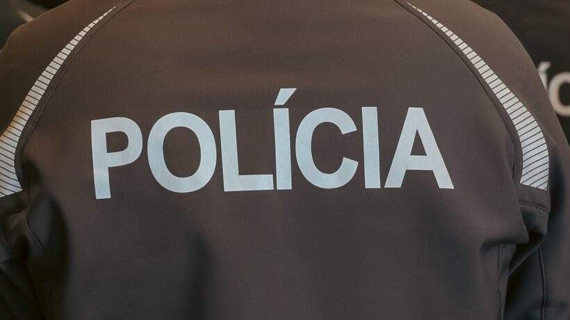 policia 8