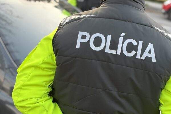 policia 3